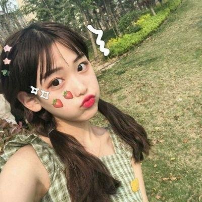 来自收容所的爱