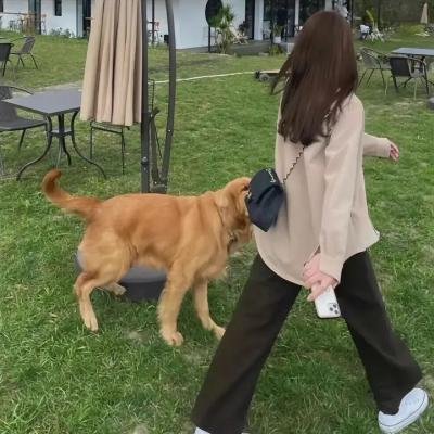 骨妹国语